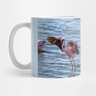 Namibia. Walvis Bay. Flamingos in the Water. Mug